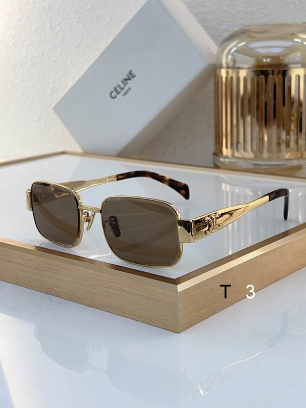 Celine Sunglasses ID:20240804-21